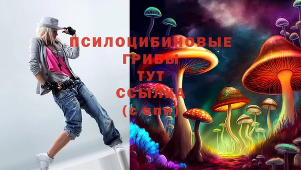 apvp Баксан